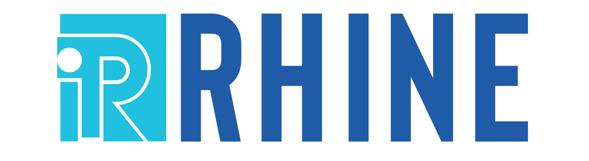 rhineinstitute.com